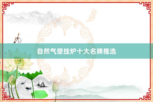 自然气壁挂炉十大名牌推选