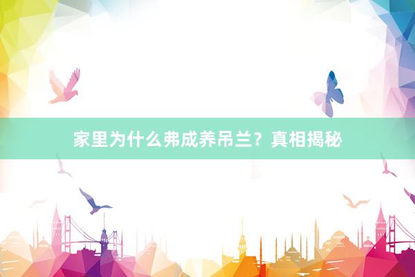 家里为什么弗成养吊兰？真相揭秘