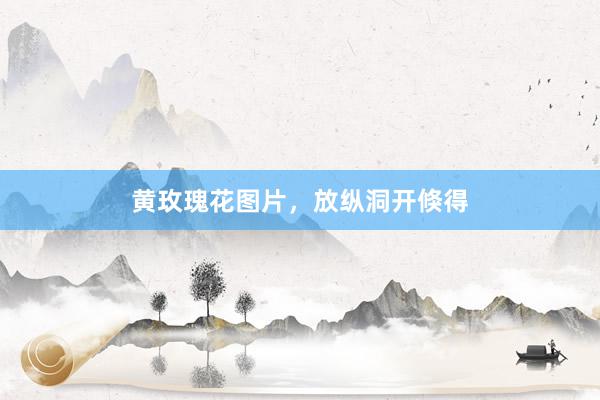 黄玫瑰花图片，放纵洞开倏得