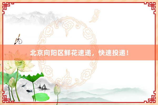 北京向阳区鲜花速递，快速投递！