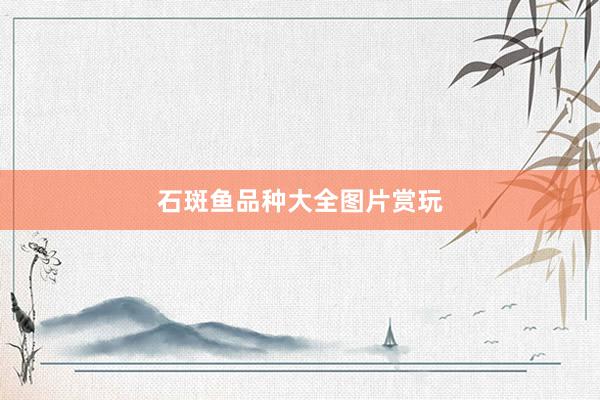 石斑鱼品种大全图片赏玩